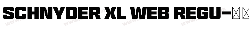 Schnyder XL Web Regu字体转换